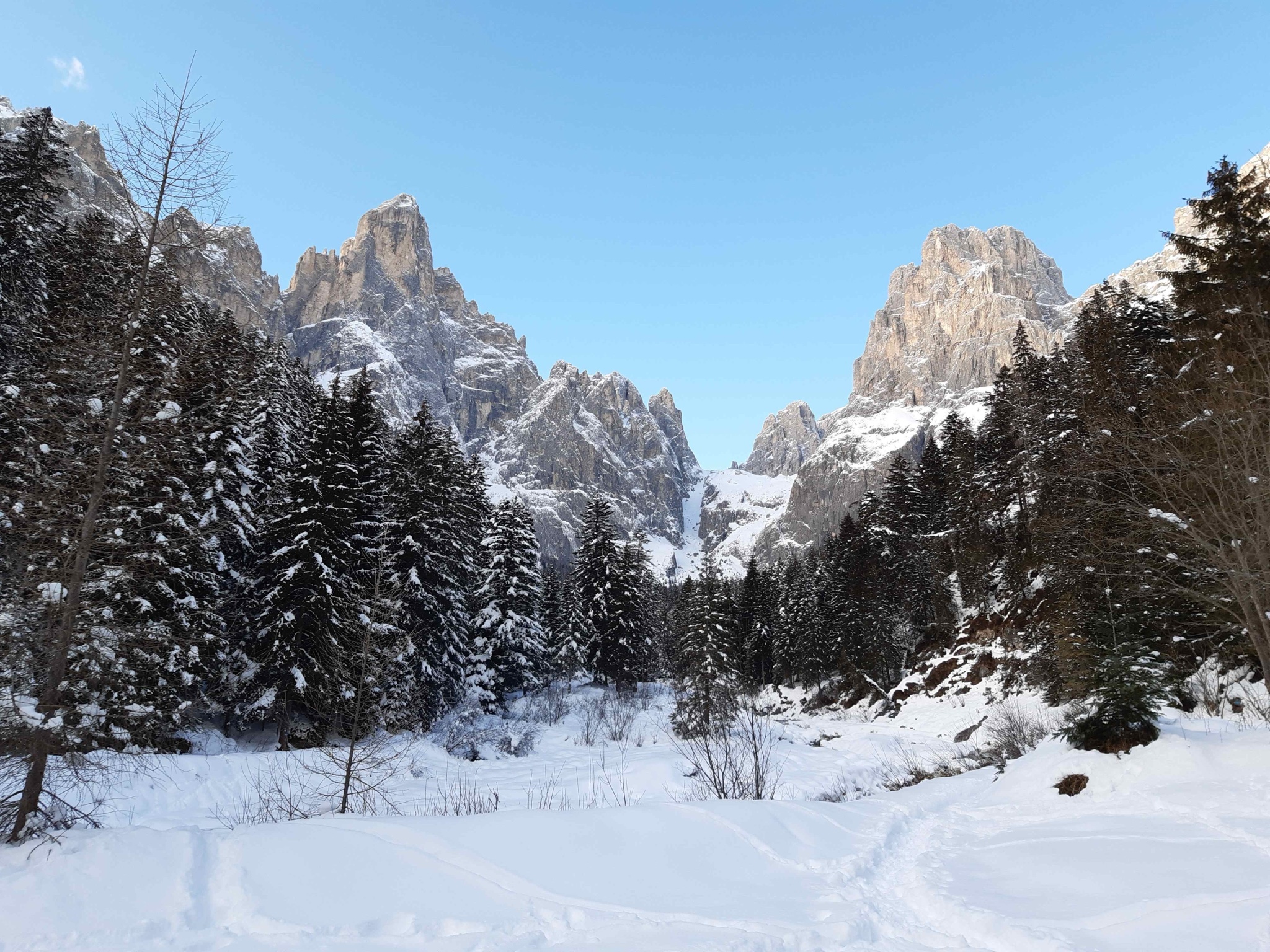 Foto della Locanda Val Canali e della Val Canali