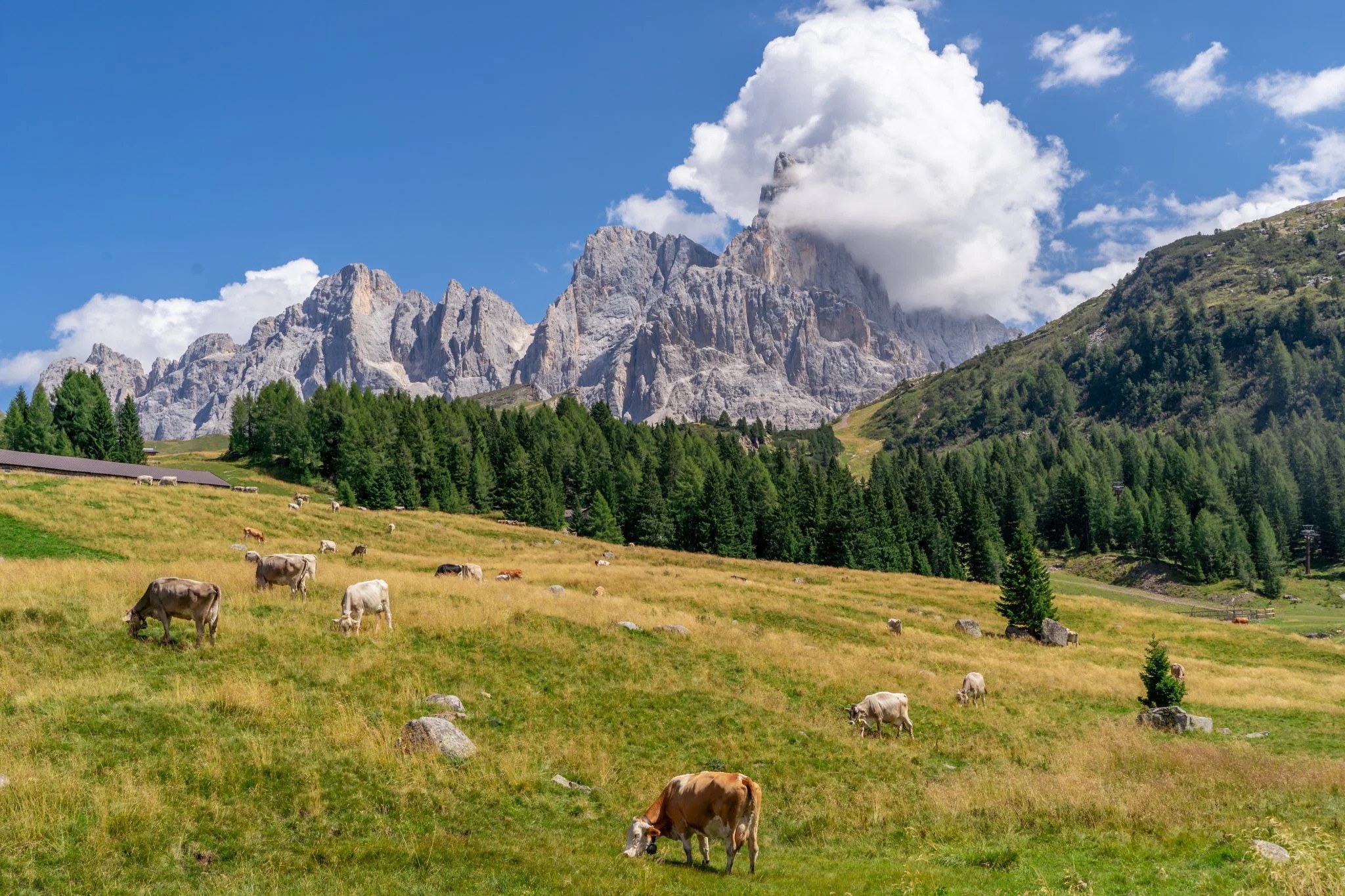 Foto della Locanda Val Canali e della Val Canali